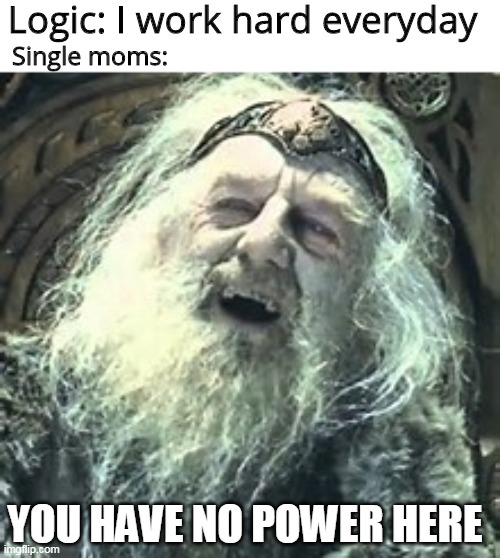 Single moms VS Logic | Logic: I work hard everyday; Single moms:; YOU HAVE NO POWER HERE | image tagged in theoden you have no power here,single mom | made w/ Imgflip meme maker