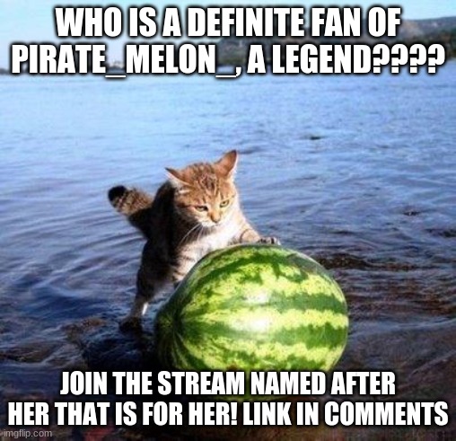 YAY!!! | WHO IS A DEFINITE FAN OF PIRATE_MELON_, A LEGEND???? JOIN THE STREAM NAMED AFTER HER THAT IS FOR HER! LINK IN COMMENTS | image tagged in argument invalid watermelon cat | made w/ Imgflip meme maker