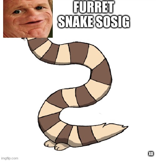 furret snake+ sosig= ??? | FURRET SNAKE SOSIG; XD | made w/ Imgflip meme maker
