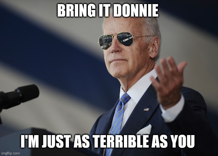 To catch a thief | BRING IT DONNIE; I'M JUST AS TERRIBLE AS YOU | image tagged in memes,joe biden | made w/ Imgflip meme maker