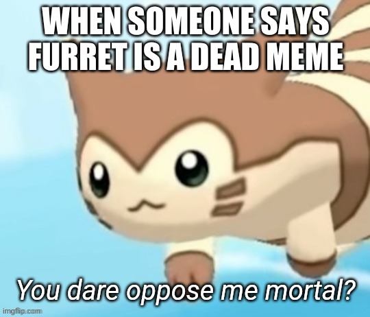 Furret you dare oppose me mortal? | WHEN SOMEONE SAYS FURRET IS A DEAD MEME | image tagged in furret you dare oppose me mortal | made w/ Imgflip meme maker