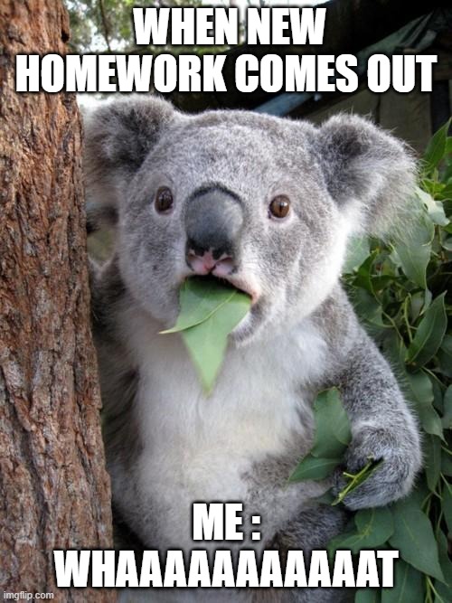 Surprised Koala Meme | WHEN NEW HOMEWORK COMES OUT; ME : WHAAAAAAAAAAAT | image tagged in memes,surprised koala | made w/ Imgflip meme maker
