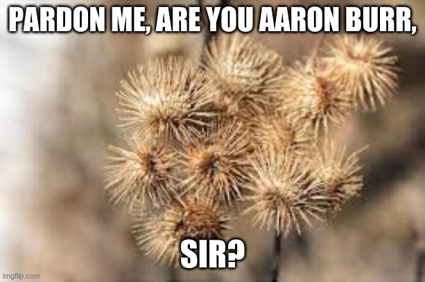 That depends, who's asking? To be sure, sir! My name is | PARDON ME, ARE YOU AARON BURR, SIR? | image tagged in aaron burr,sir,hamilton,yes | made w/ Imgflip meme maker