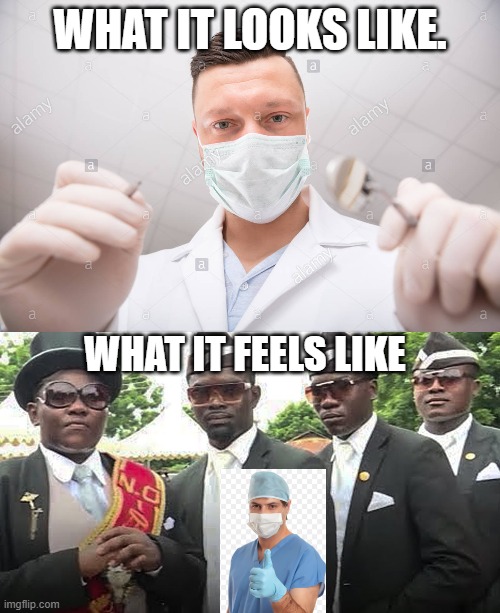 The Dentist | WHAT IT LOOKS LIKE. WHAT IT FEELS LIKE | image tagged in dentist,what it looks like,memes | made w/ Imgflip meme maker