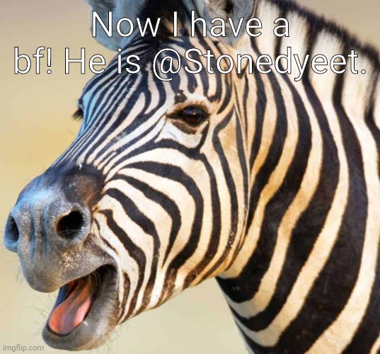 Happy Zebra | Now I have a bf! He is @Stonedyeet. | image tagged in happy zebra | made w/ Imgflip meme maker