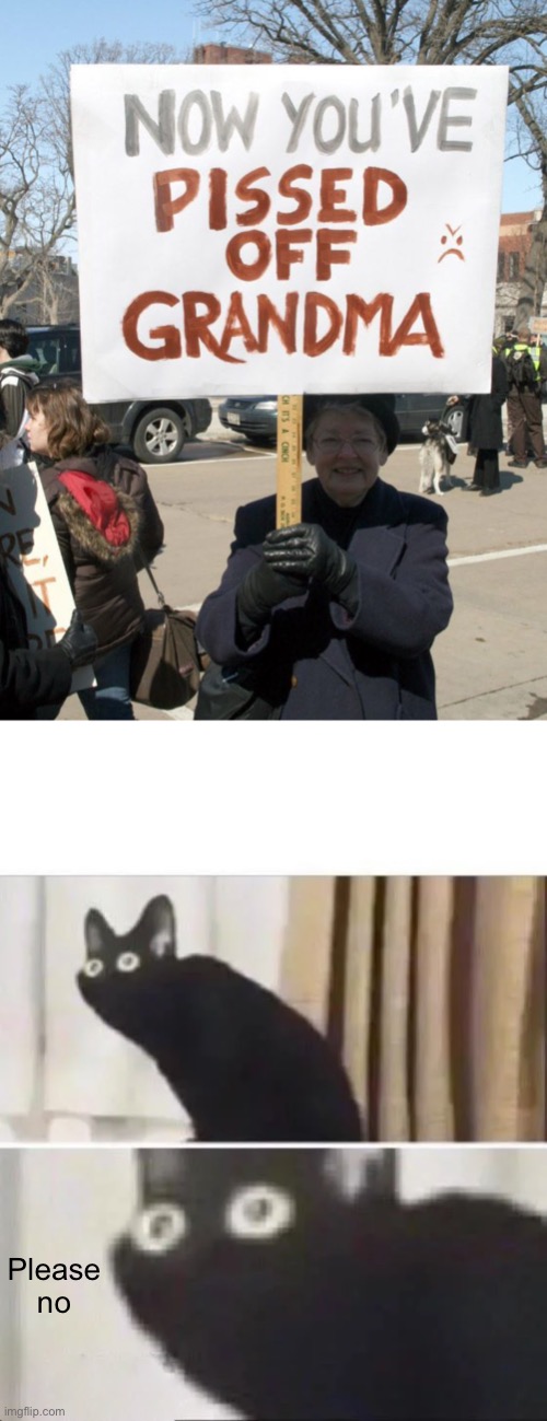 OH NO | Please no | image tagged in oh no black cat | made w/ Imgflip meme maker