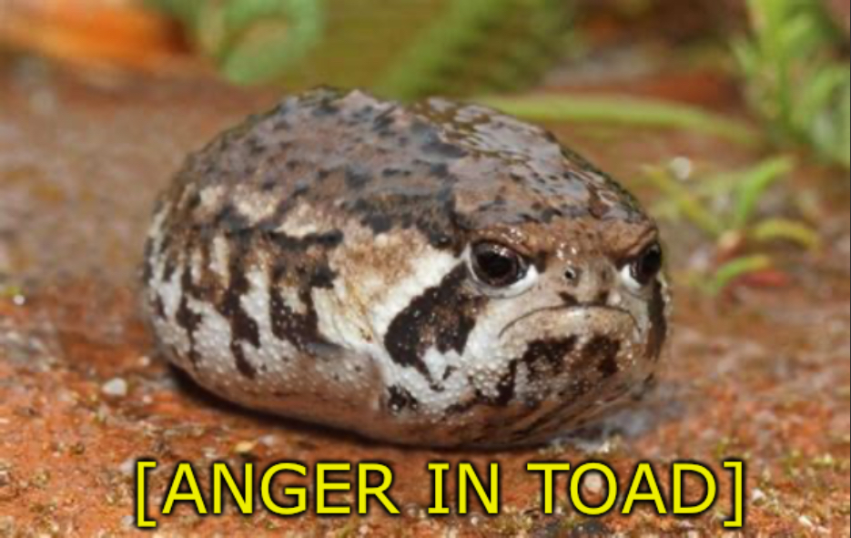 Anger in toad Blank Meme Template