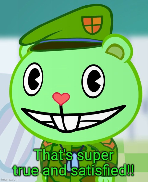 Flippy Smiles (HTF) | That's super true and satisfied!! | image tagged in flippy smiles htf | made w/ Imgflip meme maker