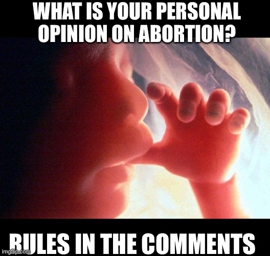 Please be respectful | WHAT IS YOUR PERSONAL OPINION ON ABORTION? RULES IN THE COMMENTS | image tagged in abortion | made w/ Imgflip meme maker