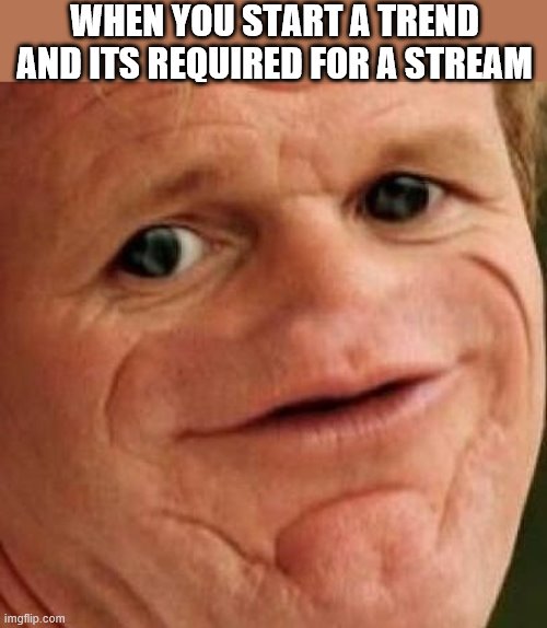 SOSIG | WHEN YOU START A TREND AND ITS REQUIRED FOR A STREAM | image tagged in sosig | made w/ Imgflip meme maker