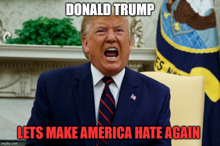 trump | DONALD TRUMP; LETS MAKE AMERICA HATE AGAIN | image tagged in presidents agenda | made w/ Imgflip meme maker