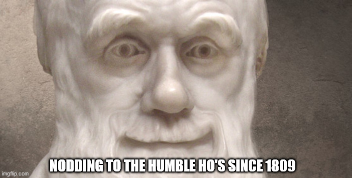 NODDING TO THE HUMBLE HO'S SINCE 1809 | image tagged in darwin,charles darwin | made w/ Imgflip meme maker