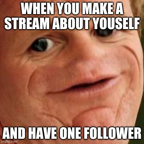 ;p just being a jerk over hereXD | WHEN YOU MAKE A STREAM ABOUT YOURSELF; AND HAVE ONE FOLLOWER | image tagged in sosig | made w/ Imgflip meme maker