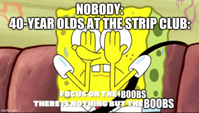 Focus on the, there is nothing but the | NOBODY:
40-YEAR OLDS AT THE STRIP CLUB:; BOOBS; BOOBS | image tagged in focus on the there is nothing but the | made w/ Imgflip meme maker