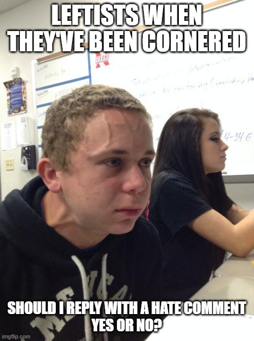 Hold fart | LEFTISTS WHEN THEY'VE BEEN CORNERED SHOULD I REPLY WITH A HATE COMMENT
YES OR NO? | image tagged in hold fart | made w/ Imgflip meme maker