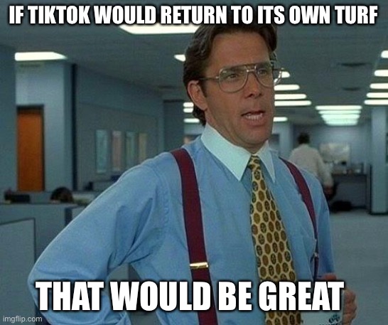 That Would Be Great | IF TIKTOK WOULD RETURN TO ITS OWN TURF; THAT WOULD BE GREAT | image tagged in memes,that would be great | made w/ Imgflip meme maker