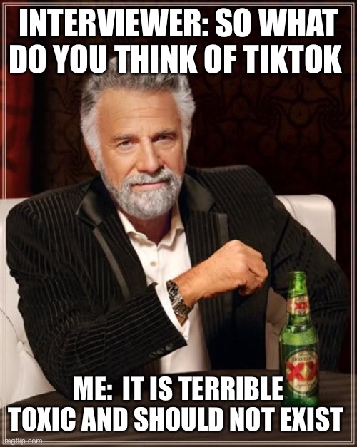 The Most Interesting Man In The World | INTERVIEWER: SO WHAT DO YOU THINK OF TIKTOK; ME:  IT IS TERRIBLE TOXIC AND SHOULD NOT EXIST | image tagged in memes,the most interesting man in the world | made w/ Imgflip meme maker