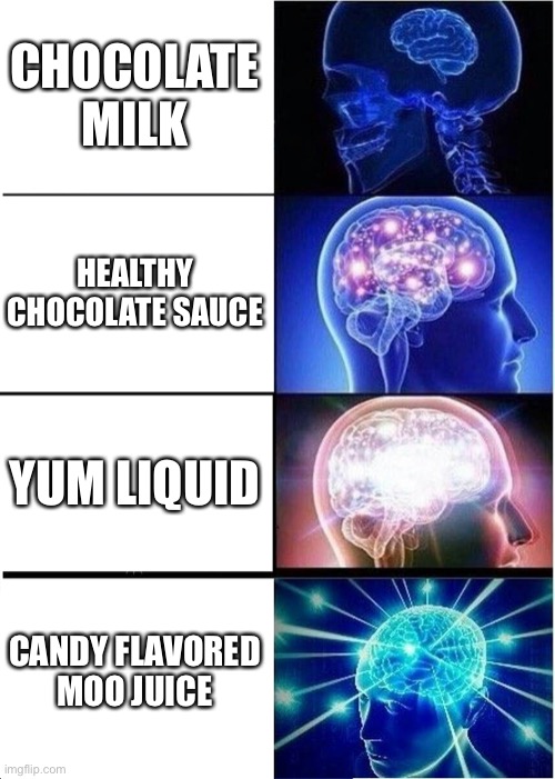 Chocolate Milk | CHOCOLATE MILK; HEALTHY CHOCOLATE SAUCE; YUM LIQUID; CANDY FLAVORED MOO JUICE | image tagged in memes,expanding brain,chocolate,milk | made w/ Imgflip meme maker