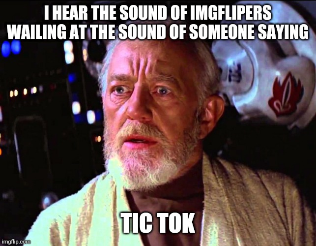 Obi Wan Millions of Voices | I HEAR THE SOUND OF IMGFLIPERS WAILING AT THE SOUND OF SOMEONE SAYING TIC TOK | image tagged in obi wan millions of voices | made w/ Imgflip meme maker