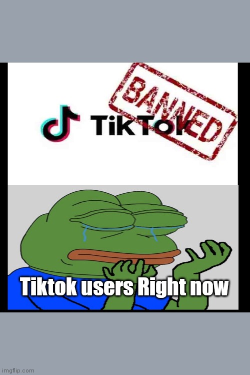 Tiktok Ban Imgflip