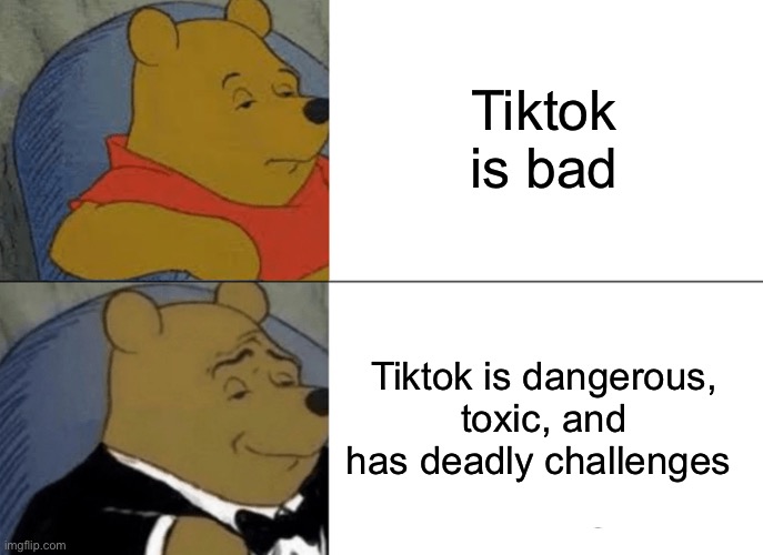Tuxedo Winnie The Pooh | Tiktok is bad; Tiktok is dangerous, toxic, and has deadly challenges | image tagged in memes,tuxedo winnie the pooh | made w/ Imgflip meme maker