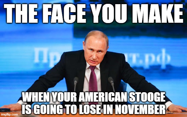 Putin's already achieved his goals of undermining American democracy and dividing the nation. But I bet he's still pissed. | THE FACE YOU MAKE WHEN YOUR AMERICAN STOOGE IS GOING TO LOSE IN NOVEMBER | image tagged in putin angry,angry,vladimir putin,putin,trump putin,election 2020 | made w/ Imgflip meme maker