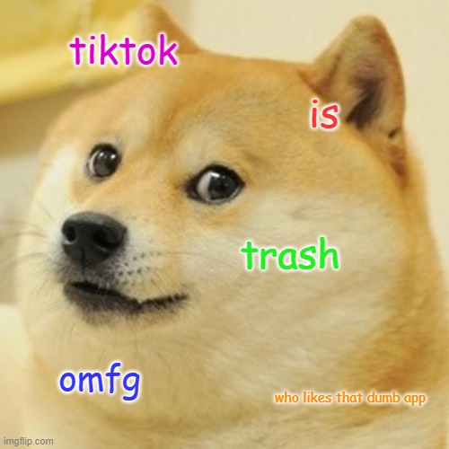 Doge Meme | tiktok; is; trash; omfg; who likes that dumb app | image tagged in memes,doge | made w/ Imgflip meme maker