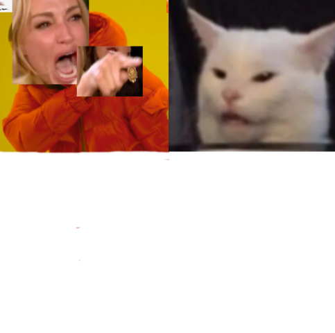 High Quality Drake Yelling At Cat Blank Meme Template