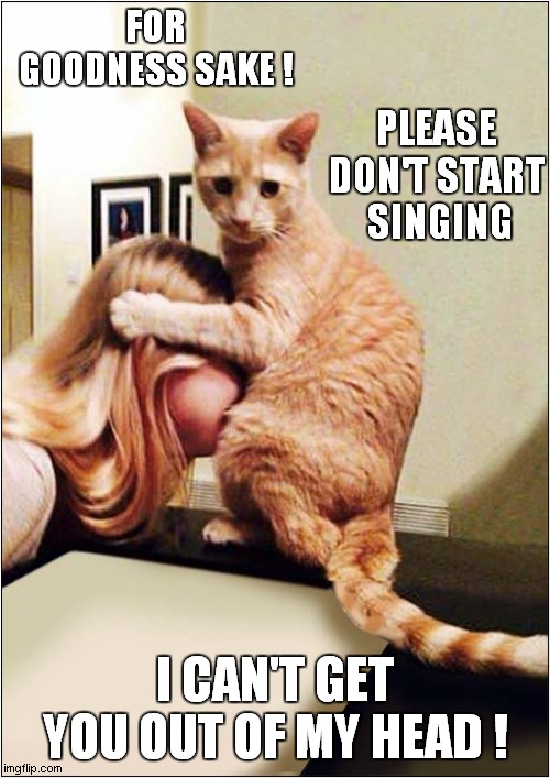 Overly Affectionate Cat Lady | FOR GOODNESS SAKE ! PLEASE DON'T START  SINGING; I CAN'T GET YOU OUT OF MY HEAD ! | image tagged in cats,crazy cat lady,song lyrics | made w/ Imgflip meme maker