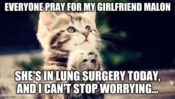 I hope she'll be okay... | EVERYONE PRAY FOR MY GIRLFRIEND MALON; SHE'S IN LUNG SURGERY TODAY, AND I CAN'T STOP WORRYING... | image tagged in praying cat,malon,pray,memes,surgery | made w/ Imgflip meme maker
