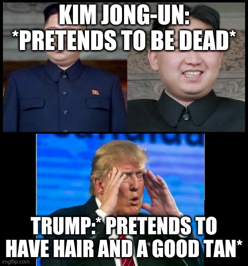 Lets play pretend | KIM JONG-UN: *PRETENDS TO BE DEAD*; TRUMP:* PRETENDS TO HAVE HAIR AND A GOOD TAN* | image tagged in trump vs kim jong un | made w/ Imgflip meme maker