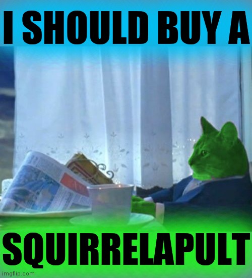 I Should Buy a Boat RayCat | I SHOULD BUY A SQUIRRELAPULT | image tagged in i should buy a boat raycat | made w/ Imgflip meme maker