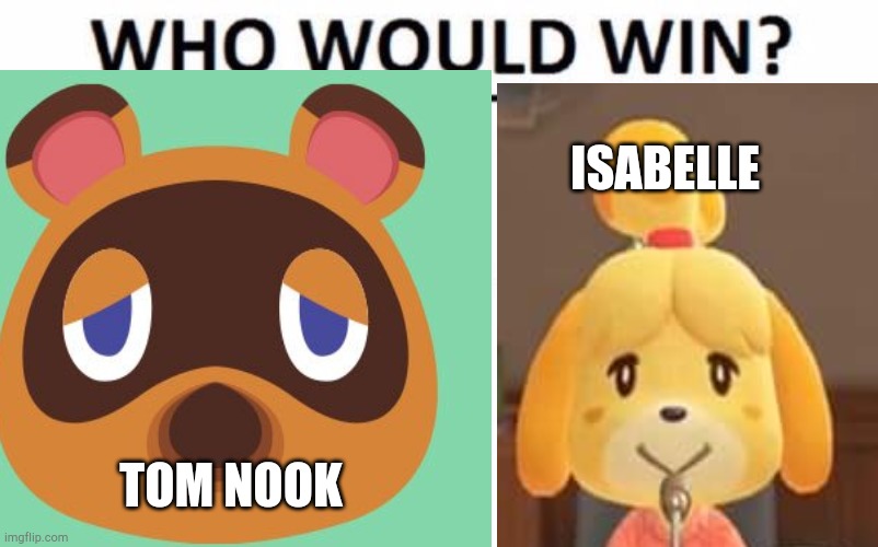 Put  your votes in the comments!!! t for nook i for isabelle!!!!!! | ISABELLE; TOM NOOK | image tagged in isabelle animal crossing announcement | made w/ Imgflip meme maker