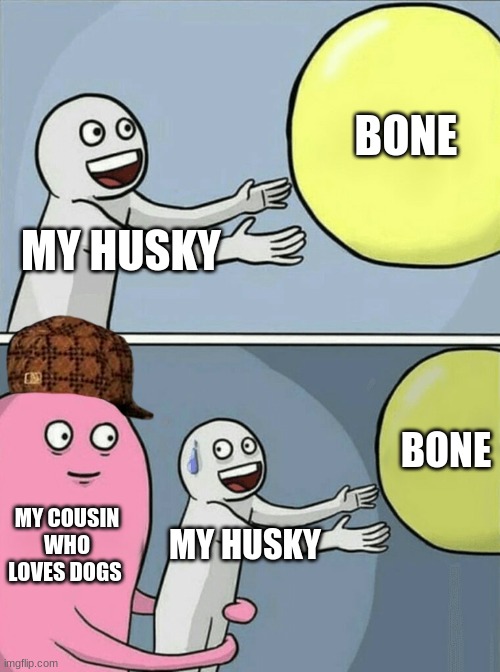 Damn josh | BONE; MY HUSKY; BONE; MY COUSIN WHO LOVES DOGS; MY HUSKY | image tagged in memes,running away balloon | made w/ Imgflip meme maker