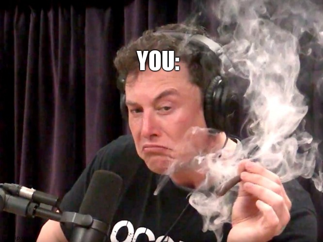 Elon Musk Weed | YOU: | image tagged in elon musk weed | made w/ Imgflip meme maker