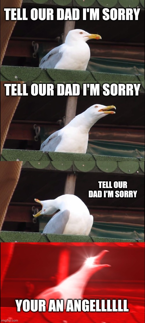 Ruby your royalty | TELL OUR DAD I'M SORRY; TELL OUR DAD I'M SORRY; TELL OUR DAD I'M SORRY; YOUR AN ANGELLLLLL | image tagged in memes,inhaling seagull | made w/ Imgflip meme maker