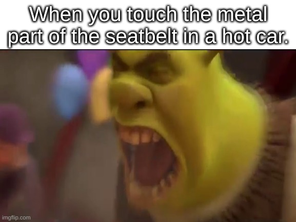 True |  When you touch the metal part of the seatbelt in a hot car. | image tagged in memes,memes | made w/ Imgflip meme maker
