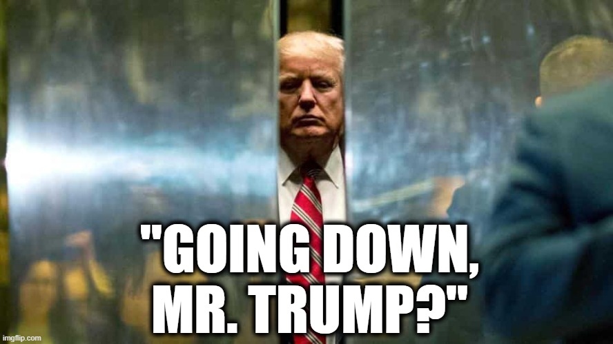 Elevator A-hole | "GOING DOWN, MR. TRUMP?" | image tagged in elevator,donald trump,defeat,traitor,russia,vladimir putin | made w/ Imgflip meme maker