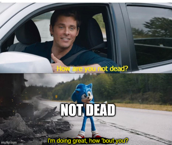 What a weird name. | NOT DEAD; I'm doing great, how 'bout you? | image tagged in sonic how are you not dead | made w/ Imgflip meme maker