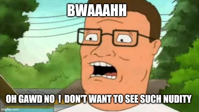 Hank hill | BWAAAHH OH GAWD NO  !  DON'T WANT TO SEE SUCH NUDITY | image tagged in hank hill | made w/ Imgflip meme maker