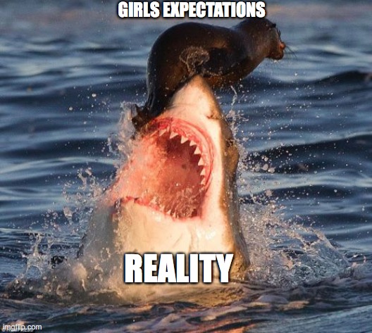 Travelonshark | GIRLS EXPECTATIONS; REALITY | image tagged in memes,travelonshark | made w/ Imgflip meme maker