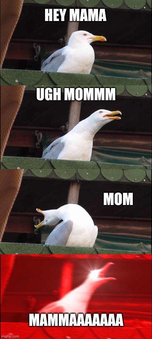 Inhaling Seagull Meme | HEY MAMA; UGH MOMMM; MOM; MAMMAAAAAAA | image tagged in memes,inhaling seagull | made w/ Imgflip meme maker