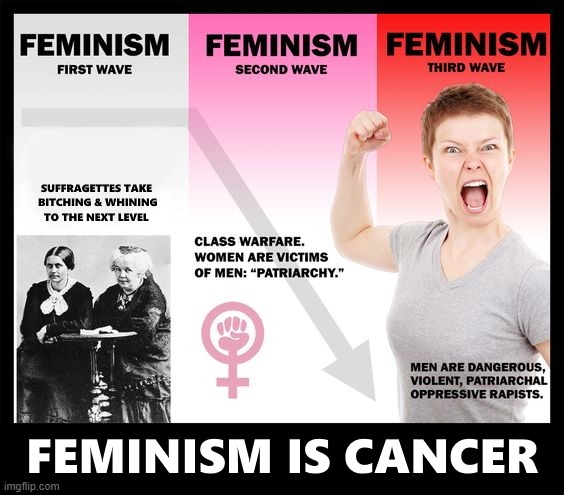 Feminist Waves of Cancer | image tagged in feminism,feminism is cancer,anti-feminism,feminazi,triggered | made w/ Imgflip meme maker