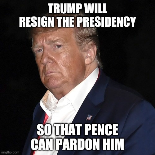 A prediction | TRUMP WILL RESIGN THE PRESIDENCY; SO THAT PENCE CAN PARDON HIM | image tagged in sad trump | made w/ Imgflip meme maker