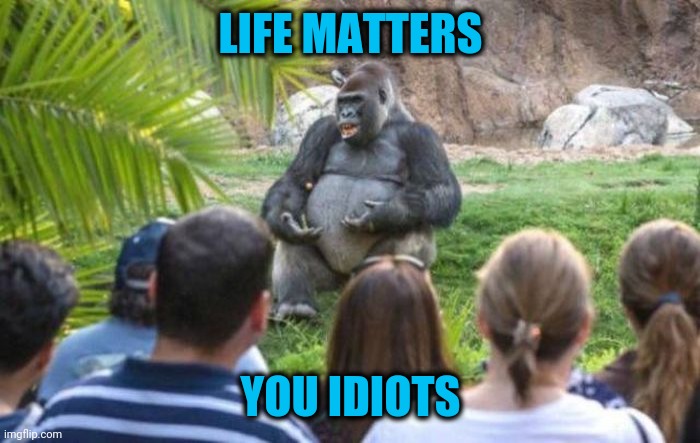 How about this? | LIFE MATTERS; YOU IDIOTS | image tagged in gorilla,teaching,life matters | made w/ Imgflip meme maker