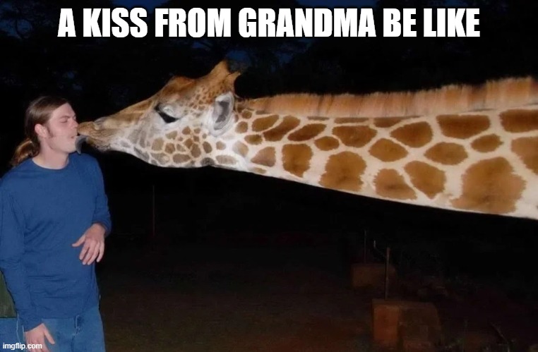 We've all been there | A KISS FROM GRANDMA BE LIKE | image tagged in funny,kiss,grandma,grandchildren,family,awkward | made w/ Imgflip meme maker
