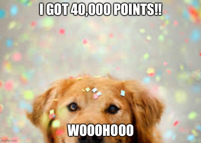 I did it! | I GOT 40,000 POINTS!! WOOOHOOO | image tagged in confettidog | made w/ Imgflip meme maker