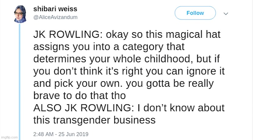 image tagged in harry potter,transphobic,jk rowling | made w/ Imgflip meme maker