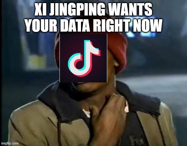 TikTok in a nutshell | XI JINGPING WANTS YOUR DATA RIGHT NOW | image tagged in memes,y'all got any more of that | made w/ Imgflip meme maker