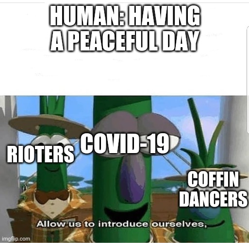 Allow us to introduce ourselves | HUMAN: HAVING A PEACEFUL DAY; COVID-19; RIOTERS; COFFIN DANCERS | image tagged in allow us to introduce ourselves | made w/ Imgflip meme maker